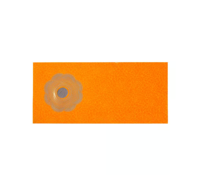Picfest Shagun Envelope with Coin 10 Piece