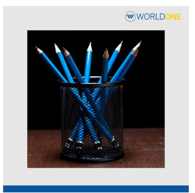 Mesh Metal Pencil / Pen Holder (Black)